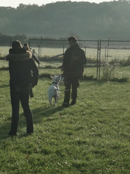 Agility Club Le Pin-Claye - photo 1