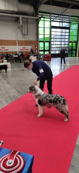 ÉDUC' ET MON CHIEN 89 - photo 3