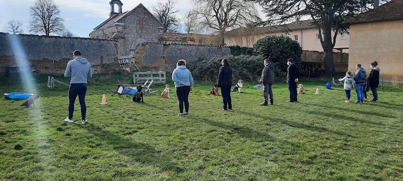 Educateur canin ROANNE Olivier Petit