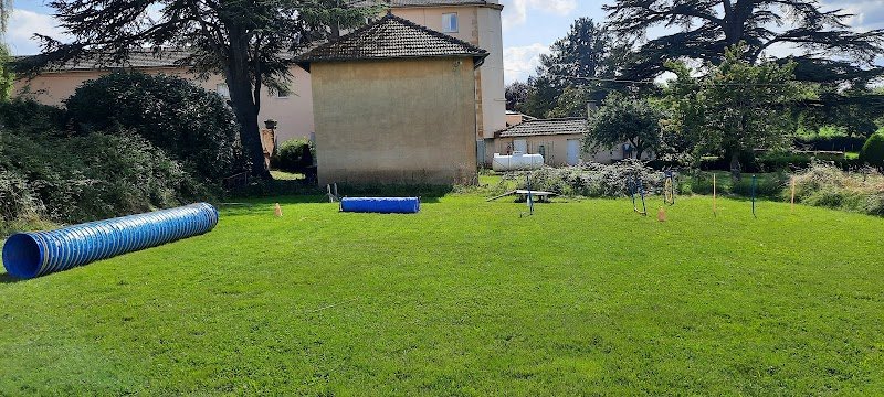 Educateur canin ROANNE Olivier Petit - photo 3