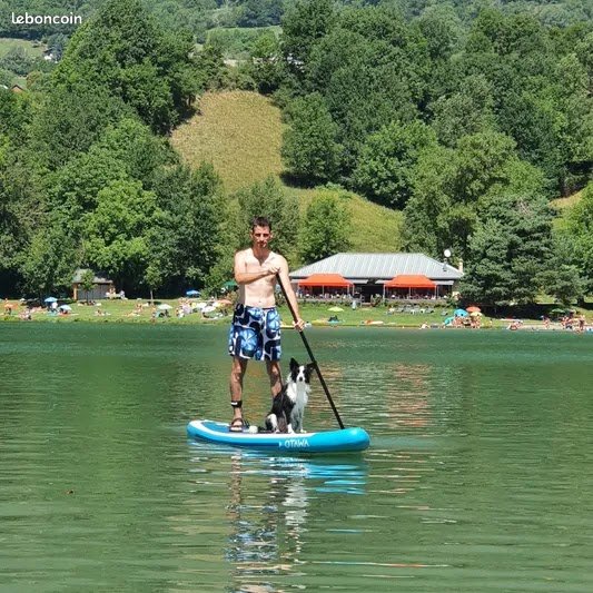 complicité homme et chien - photo 1