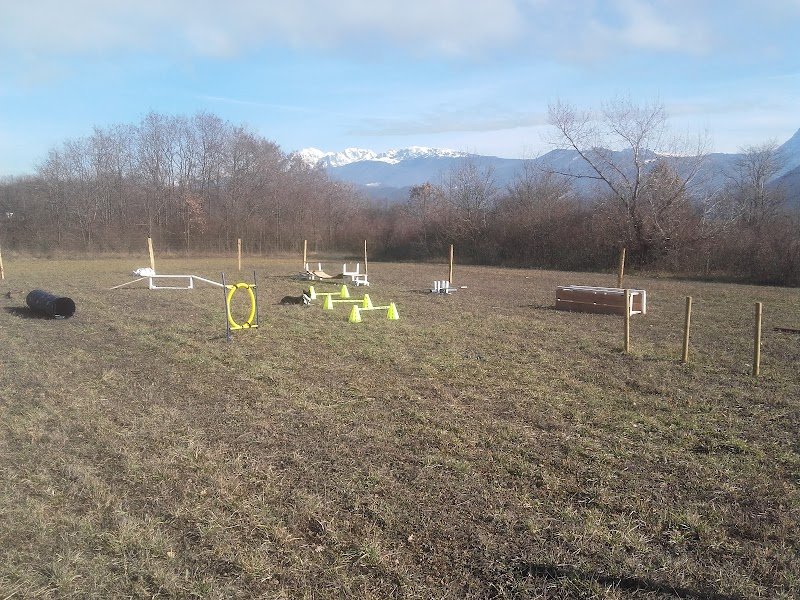 complicité homme et chien - photo 3