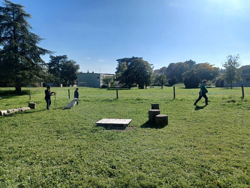 Astuce d'éduc - Education canine - photo 1