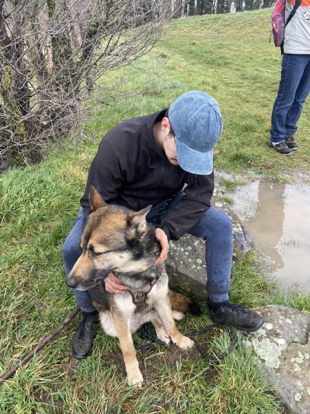 Astuce d'éduc - Education canine - photo 3