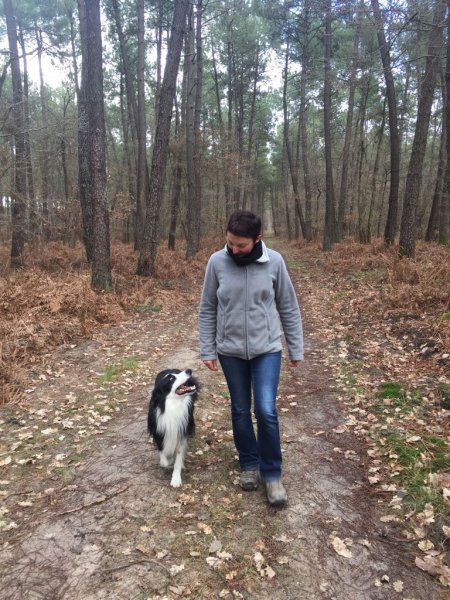 Animal Stories Education canine - photo 2