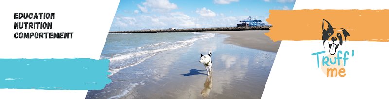 Truff'me · éducation canine · comportementaliste