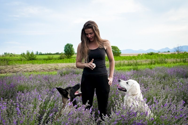 Educ'Play - Éducateur canin | Clermont-Ferrand | Issoire - photo 1