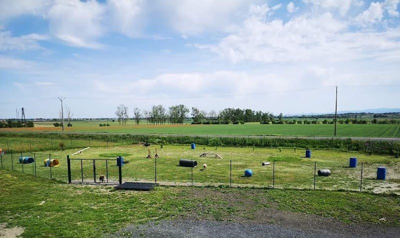 La classe canine (pension puy de dôme) - photo 1
