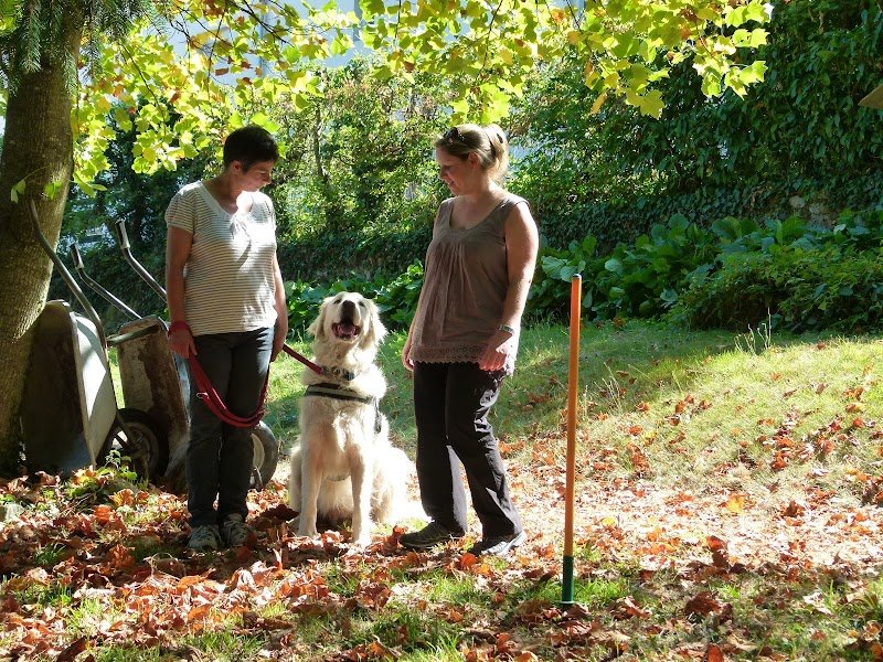 LA ROSE DES VENTS Solène Huguet éducatrice comportementaliste canin 79 - photo 2