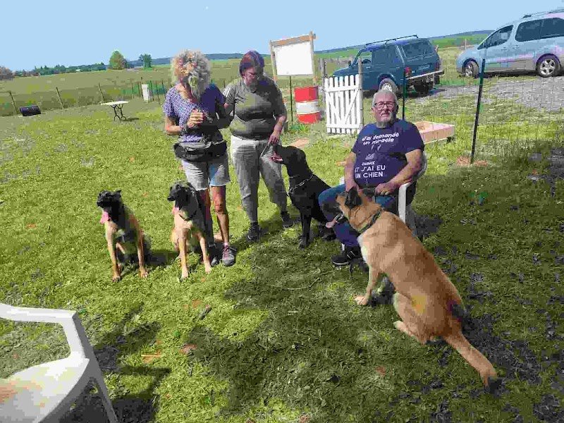 DOG'S SERVICES - éducateur canin - photo 3