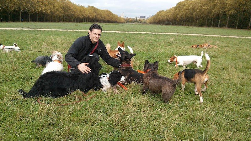 Une Méthode Douce - Educateur canin 92 - photo 1
