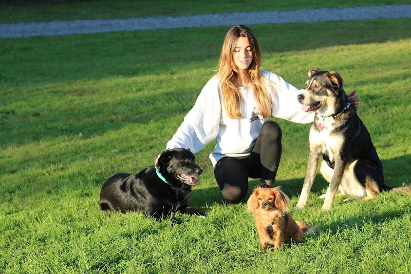 Urban Paw academy - éducation canine