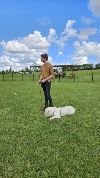 Déclic et des chiens - photo 1