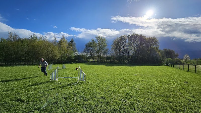 Déclic et des chiens - photo 2