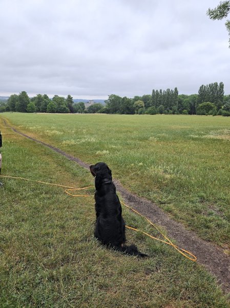 Canin'side - photo 3