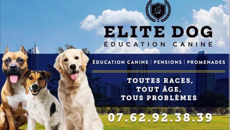 Elite dog - photo 1