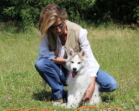 Dog Courtoisie - photo 3