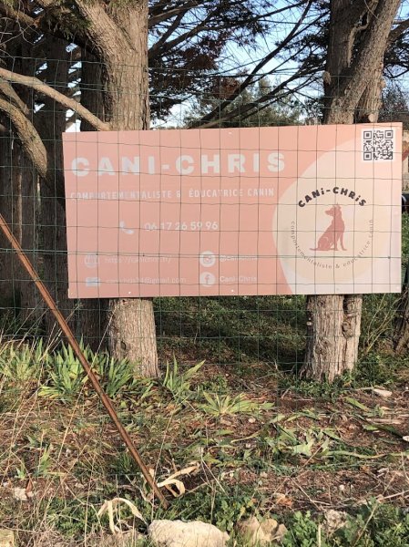 Cani-Chris Comportementaliste canin - photo 3