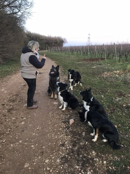 Ecoutons-nous Education Canine et Pastorale - photo 3