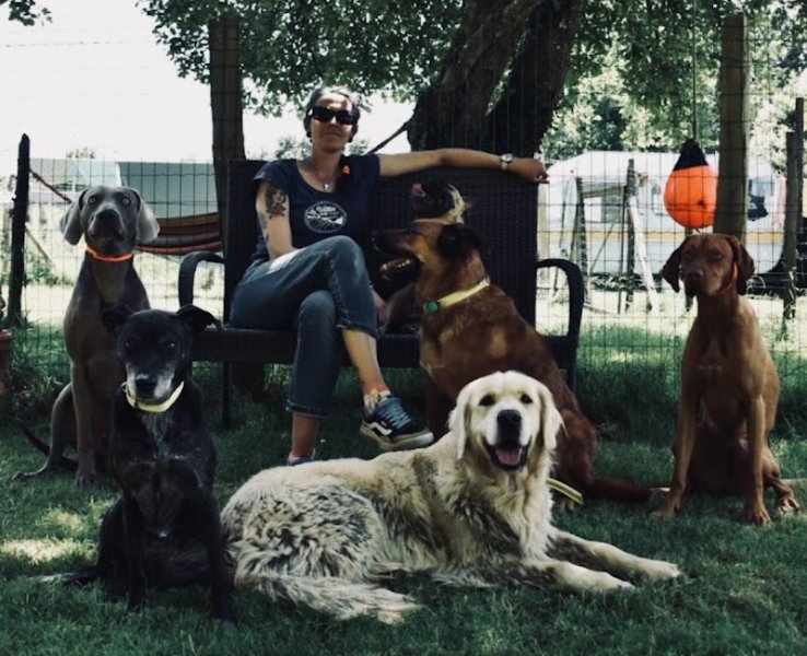 L’îlot chiens - éducation & comportements canin