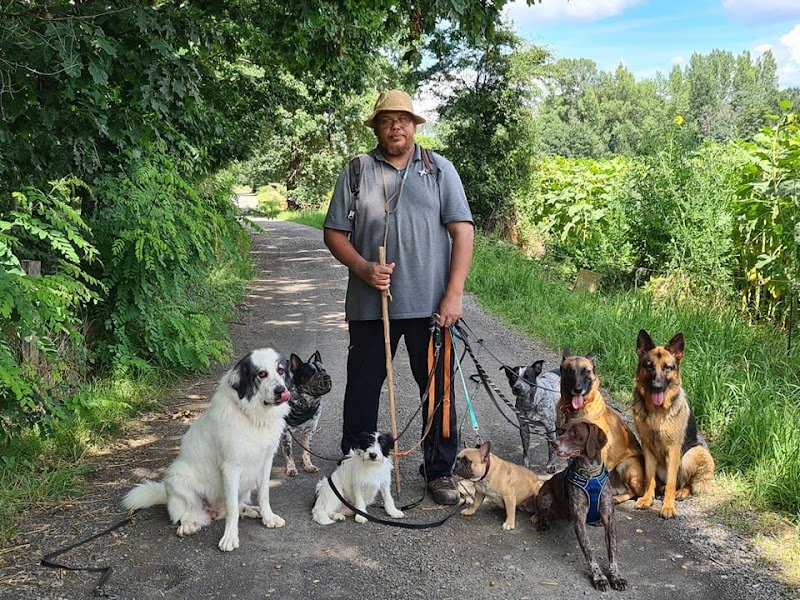 Francis Nicolas. Seuls les Chiens Bien éduqués Sont Aimés Du Public - photo 1