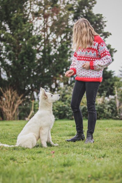 Dog'ynamic - Pension Canine Familiale - photo 2