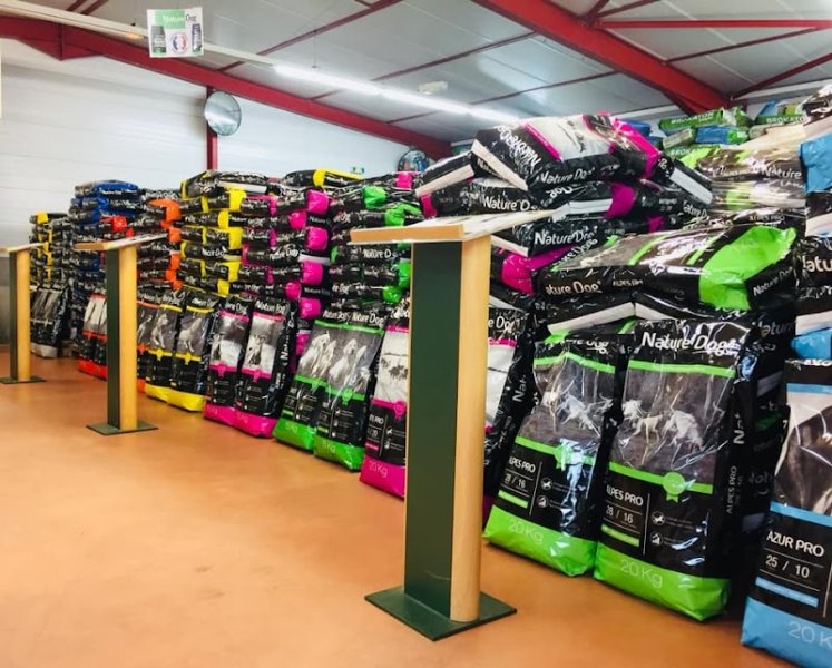 Nature Dog 15 - photo 1