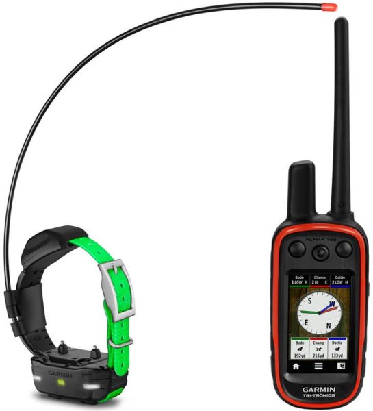 Nature Dog 15 - photo 2