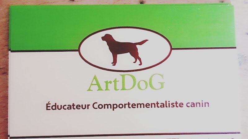 Pierre ArtDoG Educateur dressage Comportementalise Canin