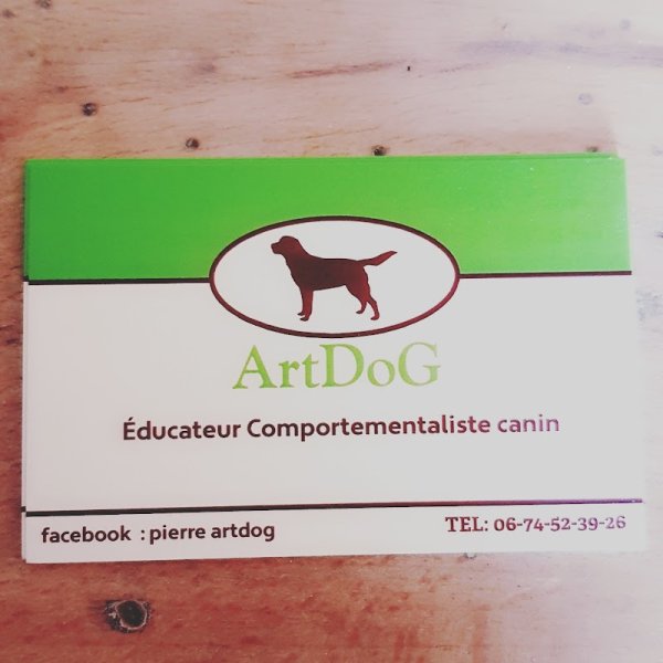 Pierre ArtDoG Educateur dressage Comportementalise Canin - photo 3