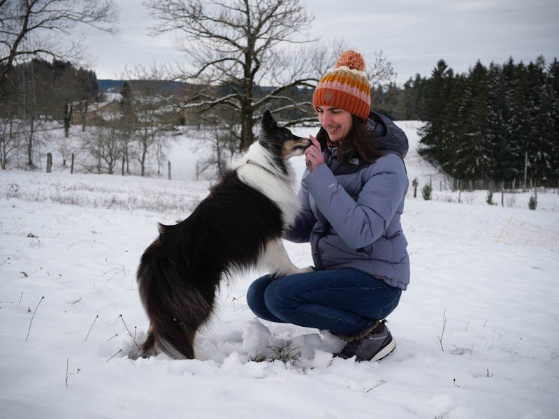 Cani'KA - Education et comportement canin - photo 1