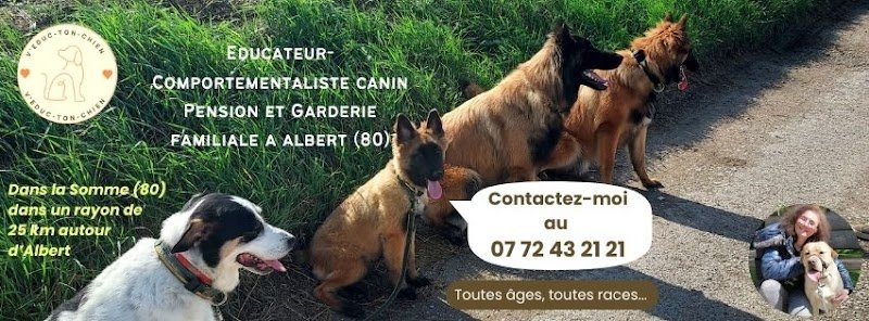 V'Educ-ton-chien - Véronique Educateur Comportementaliste canin à Albert et Pension familiale
