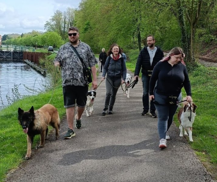 V'Educ-ton-chien - Véronique Educateur Comportementaliste canin à Albert et Pension familiale - photo 2