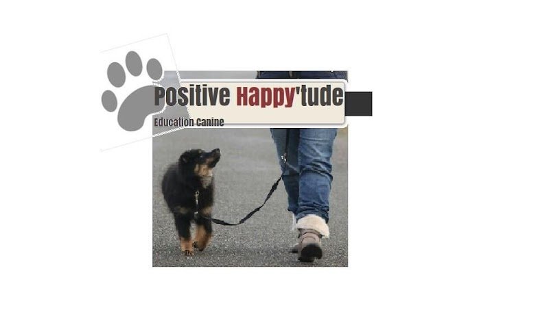 Positive Happy'tude - Education Canine - photo 3