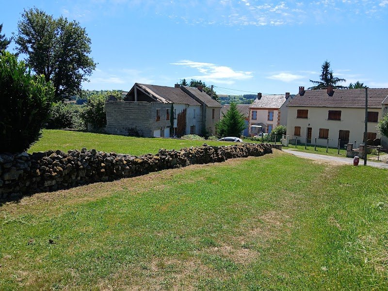 Eccd cynologue canin - photo 2