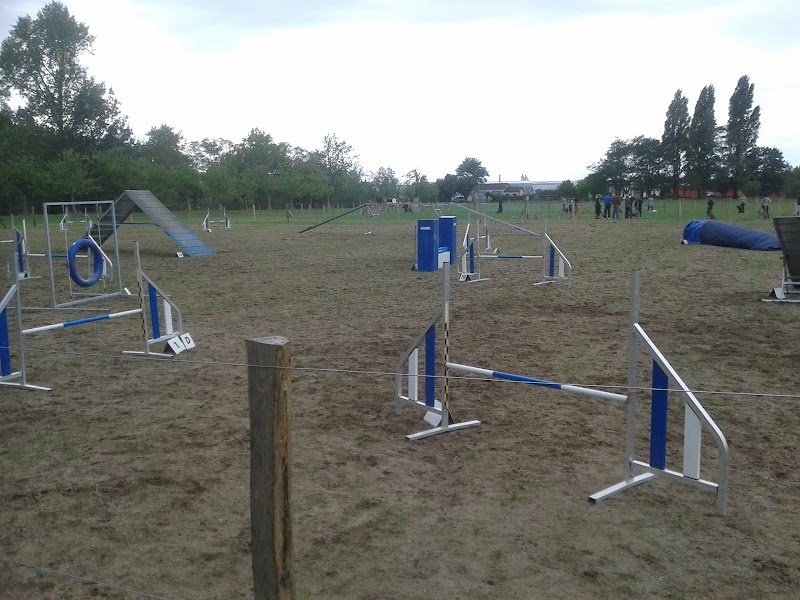 Club d'éducation canine du véron - photo 2