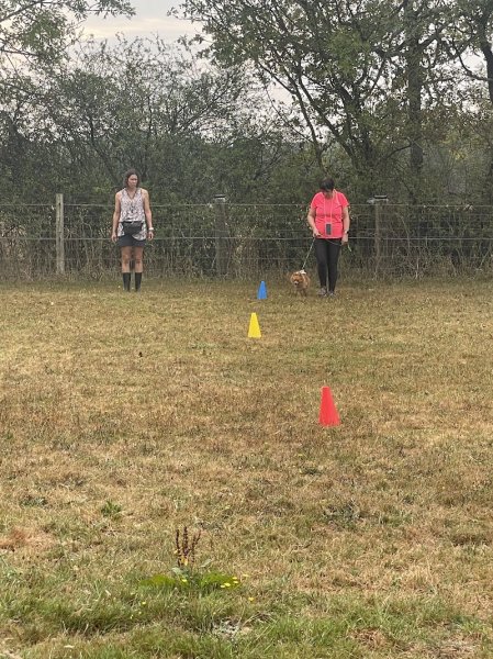 L'école Canine - photo 3