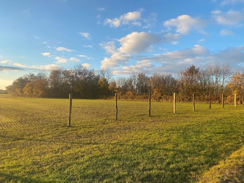 Centre Canin de La Chassagne - photo 2