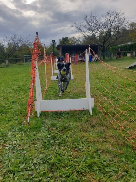 Annonay club canin - photo 1