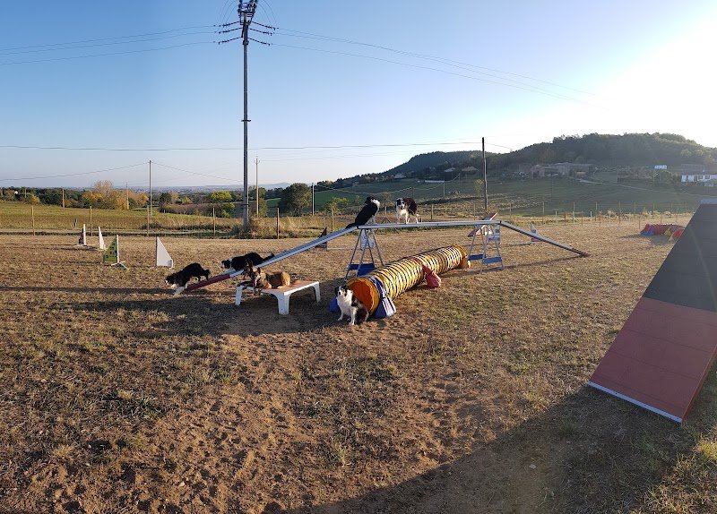 Agility Club Annonay - photo 1