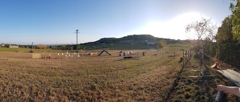 Agility Club Annonay - photo 2