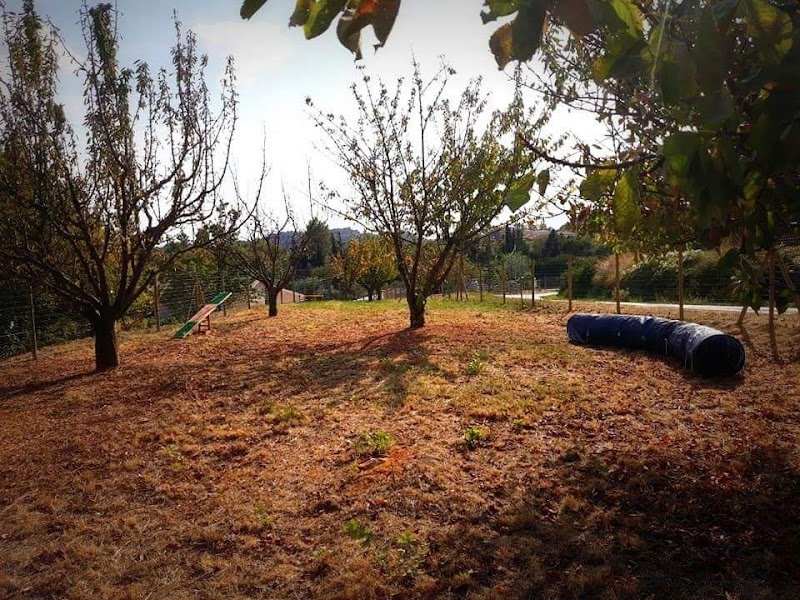 Centre Canin 4mydog - Educateur canin Comportementaliste en Drome Ardèche - photo 3