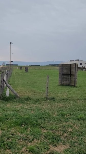 Passion Canine Valentinoise - photo 1