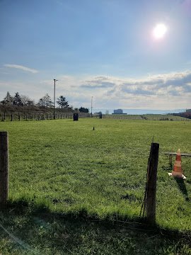 Passion Canine Valentinoise - photo 2