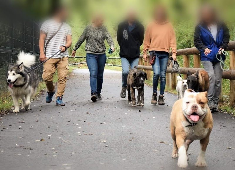 ACCRO'DOG éduc et pension - photo 1