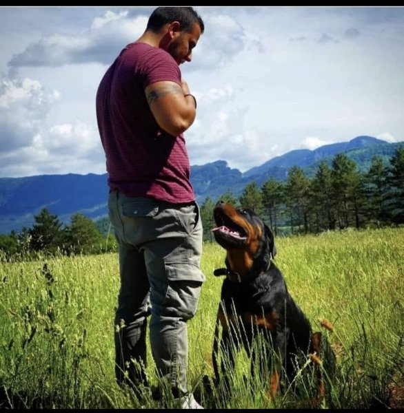 ACCRO'DOG éduc et pension - photo 3