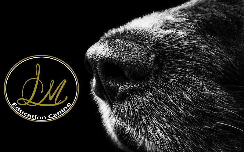 Lefebvre Mickael Education, Rééducation canine par votre propre Souveraineté(e). - photo 1