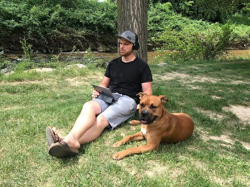 Lefebvre Mickael Education, Rééducation canine par votre propre Souveraineté(e). - photo 2