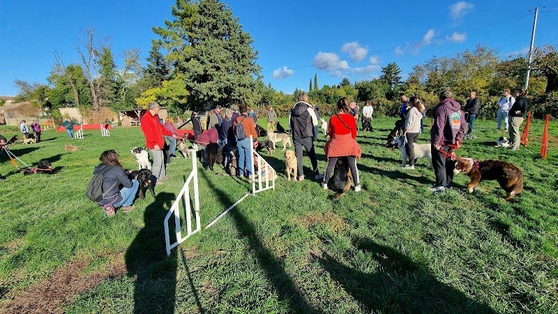 Club canin d'Etoile "education et agility" - photo 2