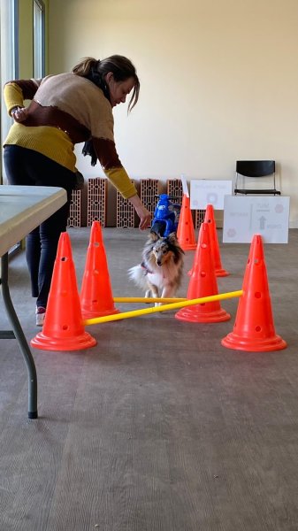 Coffee Dog - photo 2